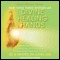 Divine Healing Hands: Experience Divine Power to Heal You, Animals, and Nature, and to Transform All Life (Unabridged) audio book by Zhi Gang Sha