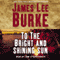 To the Bright and Shining Sun (Unabridged) audio book by James Lee Burke