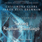 Saving Raphael Santiago: The Bane Chronicles, Book 6 (Unabridged) audio book by Cassandra Clare, Sarah Rees Brennan