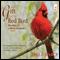 Gift of the Red Bird: The Story of a Divine Encounter (Unabridged) audio book by Paula D'Arcy