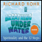 Breathing Under Water: Spirituality and the 12 Steps audio book by Richard Rohr