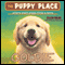 Puppy Place #1: Goldie (Unabridged) audio book by Ellen Miles