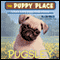 Puppy Place #9: Pugsley (Unabridged) audio book by Ellen Miles