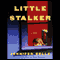 Little Stalker (Unabridged) audio book by Jennifer Belle