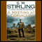 A Meeting at Corvallis: A Novel of the Change (Unabridged) audio book by S. M. Stirling