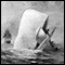 Moby Dick (Unabridged) audio book by Herman Melville