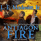 Antiagon Fire: Imager Portfolio, Book 7 (Unabridged) audio book by L. E. Modesitt, Jr.