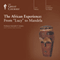 The African Experience: From 'Lucy' to Mandela audio book by The Great Courses