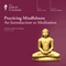 Practicing Mindfulness: An Introduction to Meditation audio book by The Great Courses