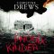 Phnixkinder audio book by Christine Drews