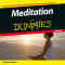 Meditation fr Dummies audio book by Stephan Bodian