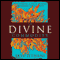 The Divine Commodity: Discovering a Faith Beyond Consumer Christianity (Unabridged) audio book by Skye Jethani