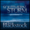 Southern Storm: Cape Refuge Series #2 (Unabridged) audio book by Terri Blackstock