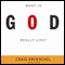What Is God Really Like? (Unabridged) audio book by Craig Groeschel (editor), Andy Stanley, Francis Chan, Jentezen Franklin, Perry Noble, Steven Furtick