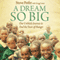 Dream So Big: Our Unlikely Journey to End the Tears of Hunger (Unabridged) audio book by Steve Peifer, Gregg Lewis