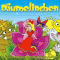 Däumelinchen. Märchen für Kinder audio book by Hans Christian Andersen