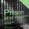 Prison: Le cri du silence audio book by Paul Ruty