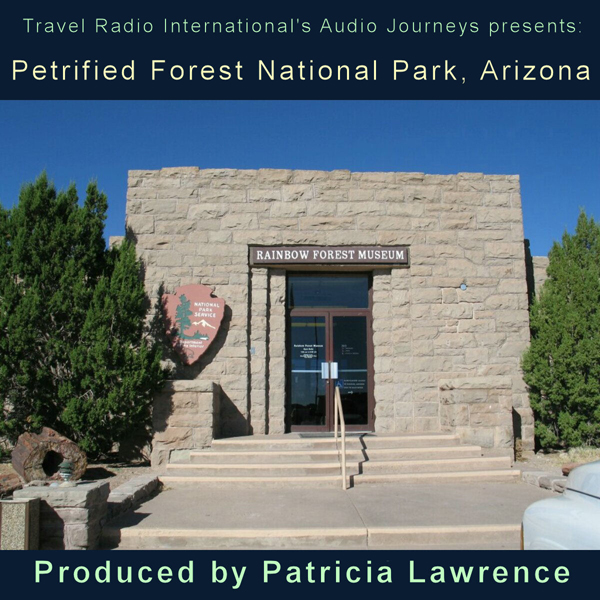 Petrified Forest National Park, Arizona: Audio Journeys audio book by Patricia L. Lawrence