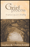 The Grief Process: Meditations for Healing audio book by Stephen and Ondrea Levine