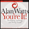 You're It!: On Hiding, Seeking, and Being Found audio book by Alan Watts