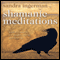 Shamanic Meditations: Guided Journeys for Insight, Visions, and Healing (Unabridged) audio book by Sandra Ingerman