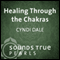 Healing Through the Chakras: Essential Principles on the Journey of Well- Being audio book by Cyndi Dale